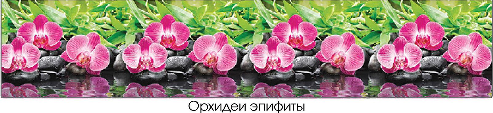 Панель интерьер. Орхидеи эпифиты 3000*600*1,0мм (Россия)
