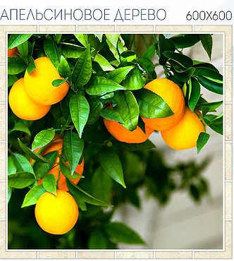 Кухонный экран Апельсиновое дерево 600*600*1,5мм ABS (Россия)
