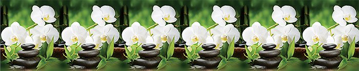 Панель интерьер. Орхидеи (белые) 3000*600*1,0мм (Россия)